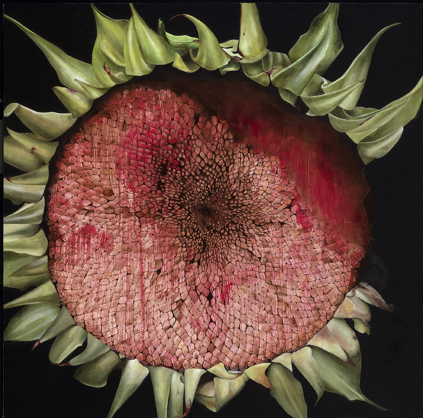 Helianthus annus by PAtrice Moor